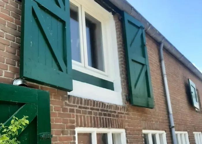 Bonaparte Hank照片