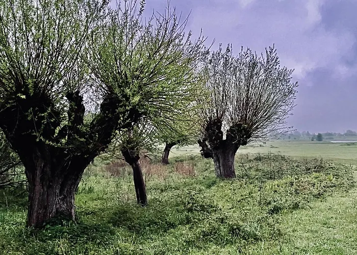 沃德里赫姆De Kruidenpoort住宿加早餐旅馆照片